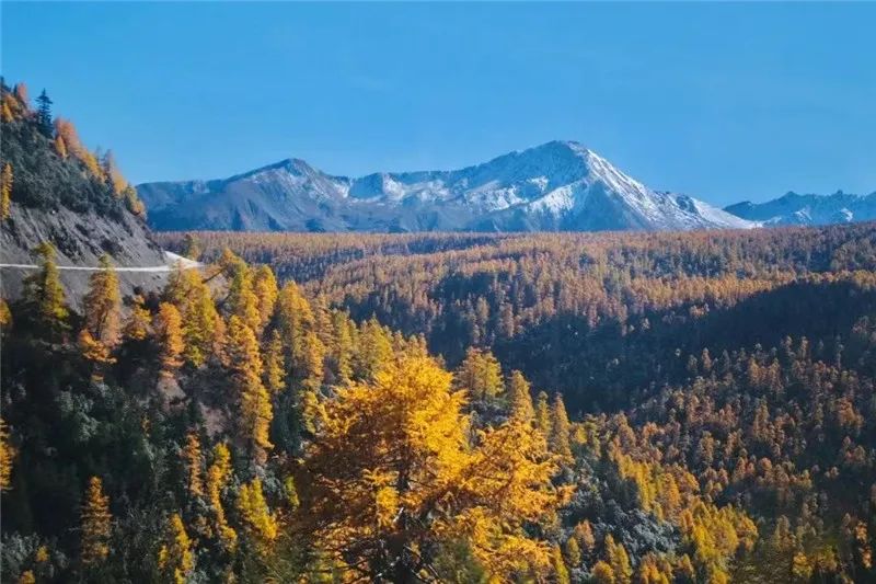 香格里拉的秋天：色彩的盛宴休闲区蓝鸢梦想 - Www.slyday.coM