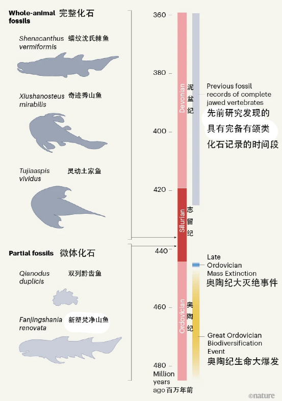 本次集中发表物种一览，图片来自参考文献[1]