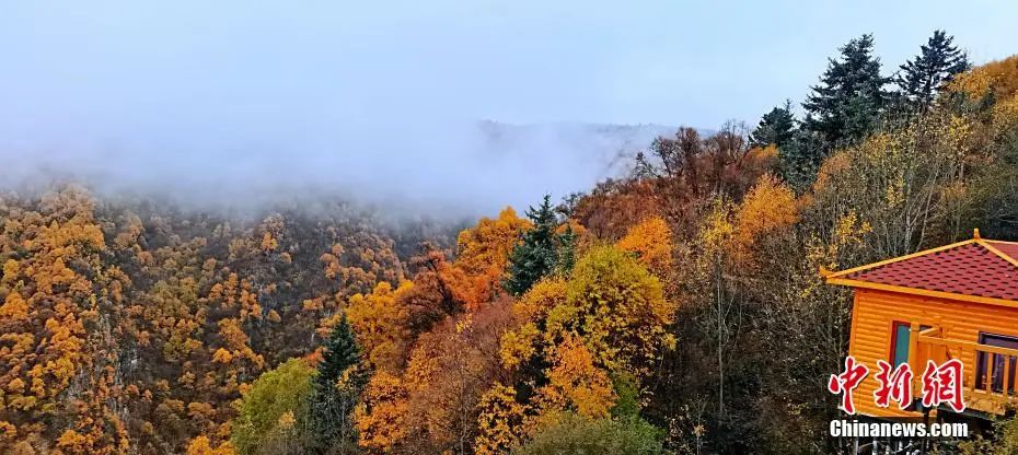 离你最近的这3个人，才是你人生的贵人休闲区蓝鸢梦想 - Www.slyday.coM