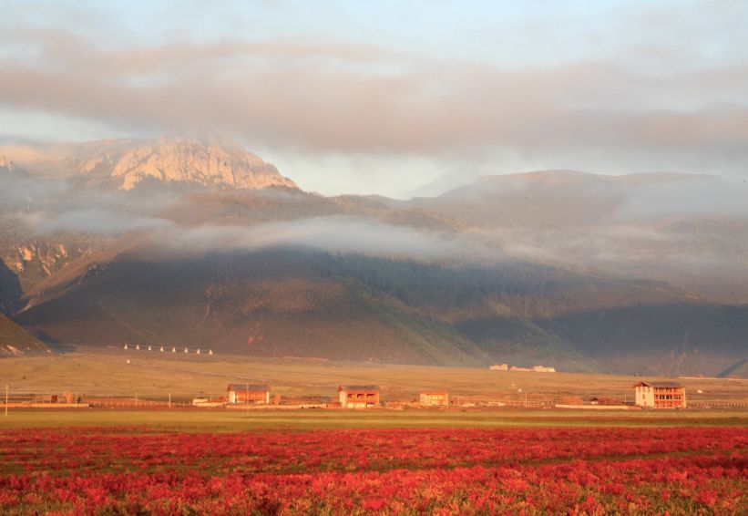 香格里拉的秋天：色彩的盛宴休闲区蓝鸢梦想 - Www.slyday.coM