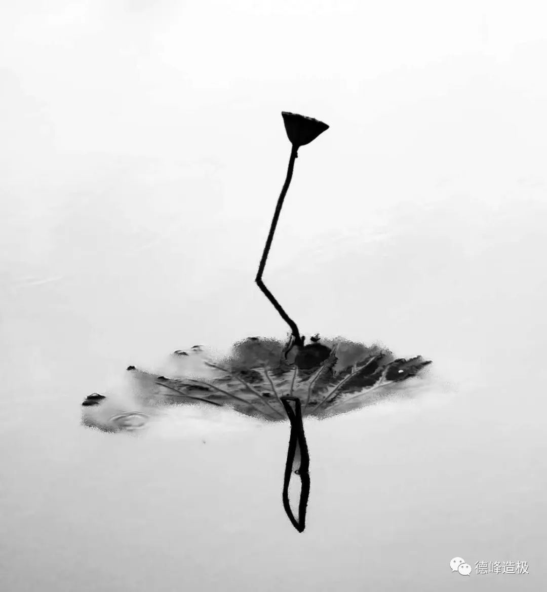 平淡，是你的眼 ~ 91.8美图秀，有意思的生活休闲区蓝鸢梦想 - Www.slyday.coM