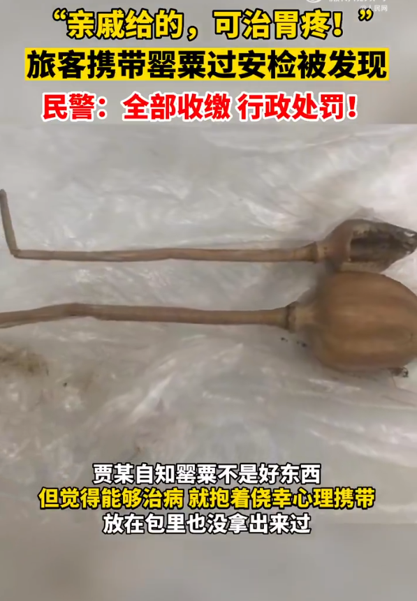 旅客携带罂粟过安检称治胃病，民警：全部收缴，行政处罚！休闲区蓝鸢梦想 - Www.slyday.coM