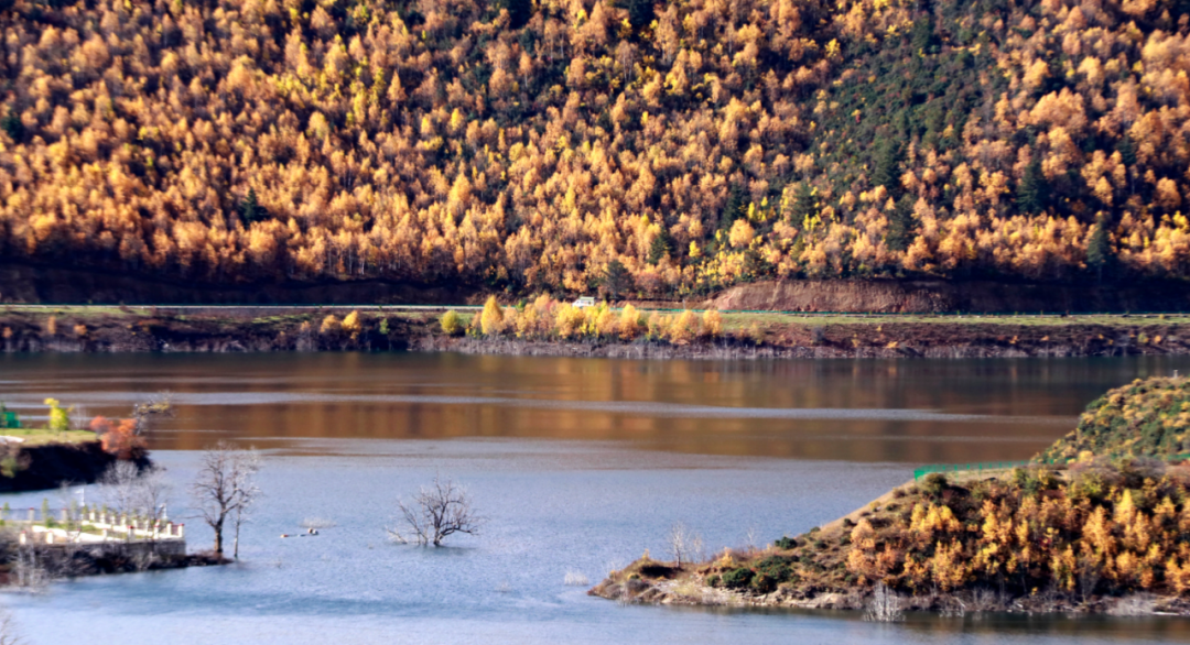 香格里拉的秋天：色彩的盛宴休闲区蓝鸢梦想 - Www.slyday.coM