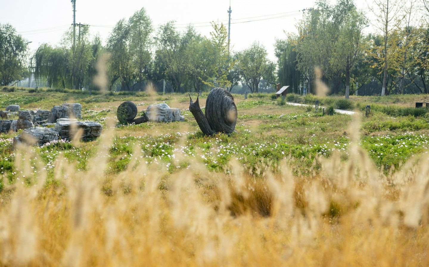 9月28日，久敬庄公园，昔日的裘皮辅料批发市场变为公园绿地。新京报记者 陶冉 摄