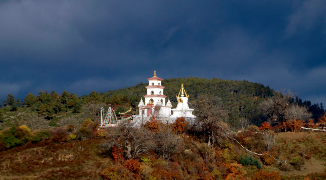 香格里拉的秋天：色彩的盛宴休闲区蓝鸢梦想 - Www.slyday.coM