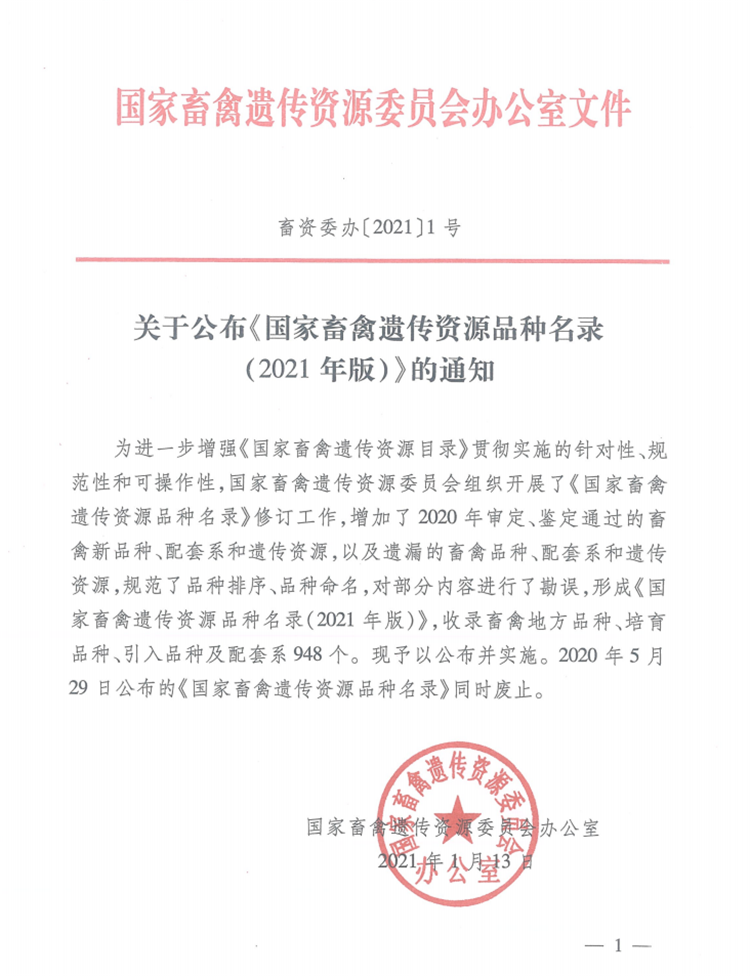 “世界上最小的鸡”走红网络，这种鸡到底是什么“鸡”？休闲区蓝鸢梦想 - Www.slyday.coM