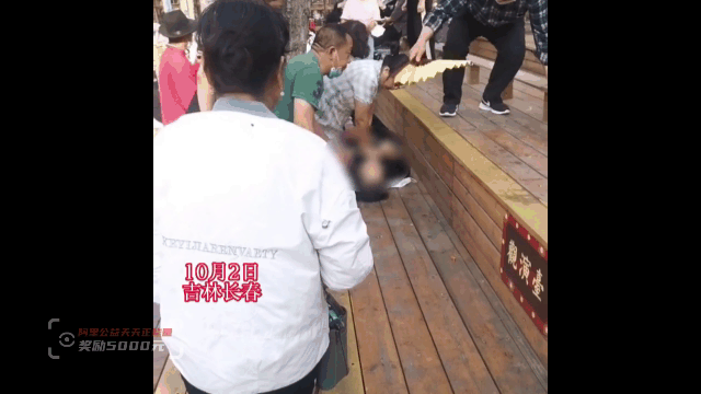 在景区跪地救人的“旗袍女孩”，找到了!休闲区蓝鸢梦想 - Www.slyday.coM