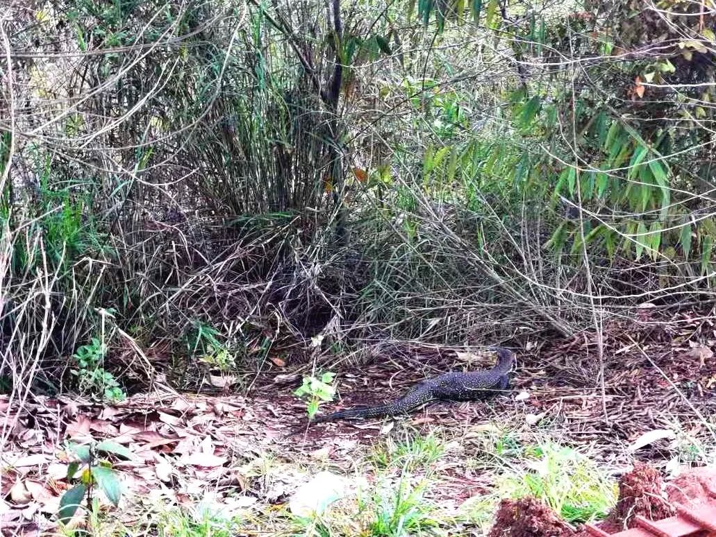 “五千铁人下南洋”和新天钢在印尼的拓荒路休闲区蓝鸢梦想 - Www.slyday.coM
