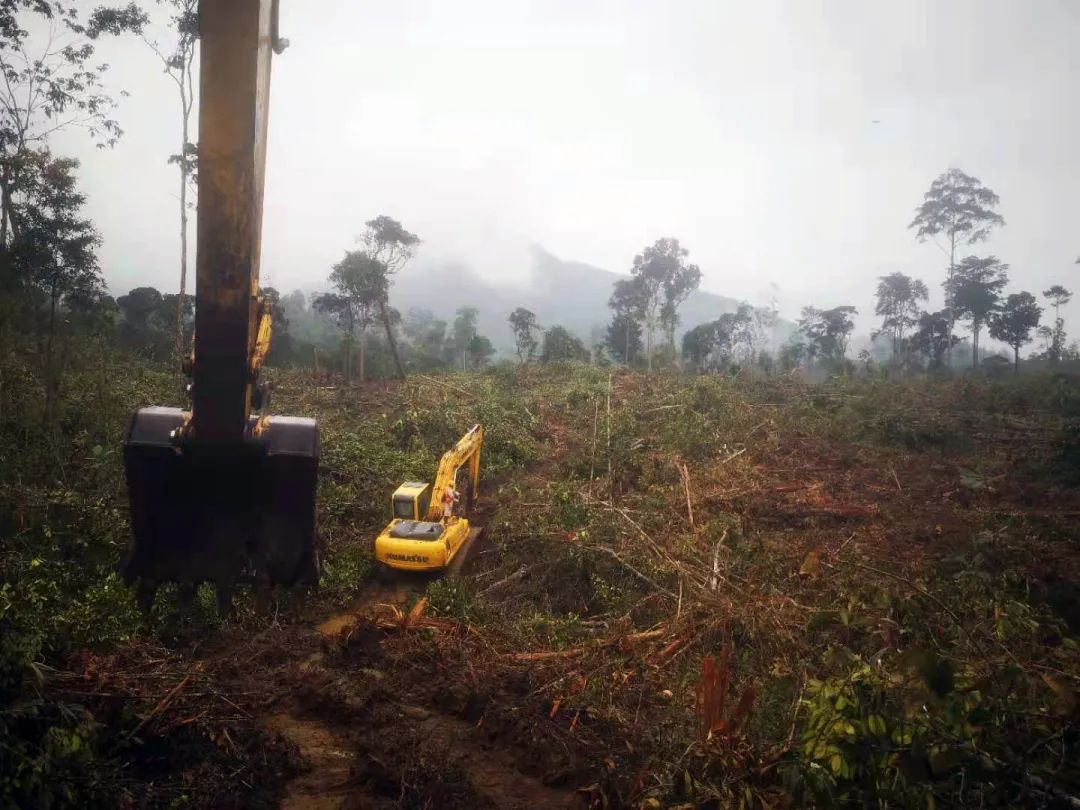 “五千铁人下南洋”和新天钢在印尼的拓荒路休闲区蓝鸢梦想 - Www.slyday.coM