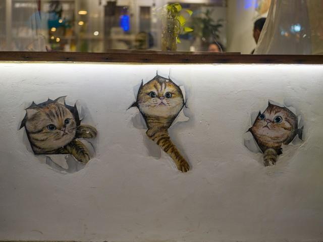 10万元的快乐 哈苏X2D 100C一亿像素中画幅相机评测休闲区蓝鸢梦想 - Www.slyday.coM