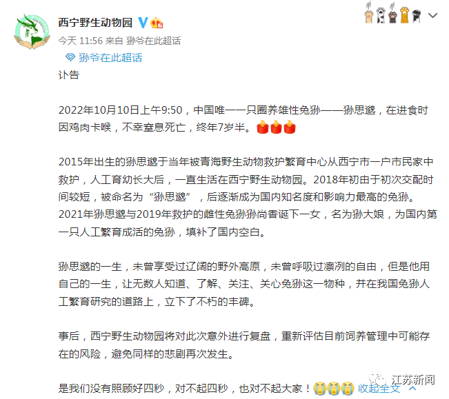 好突然！被很多人喜爱的它，不幸窒息死亡！休闲区蓝鸢梦想 - Www.slyday.coM