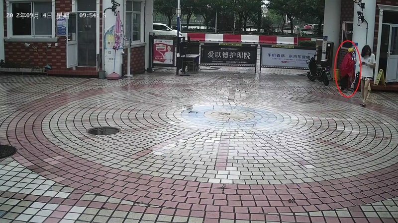 上海一保姆“变装”代雇主做核酸检测，双双被行政处罚休闲区蓝鸢梦想 - Www.slyday.coM