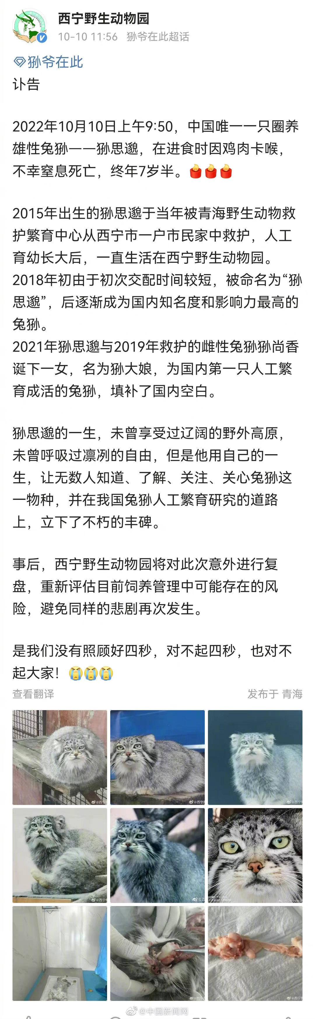 网红兔狲狲思邈意外死亡休闲区蓝鸢梦想 - Www.slyday.coM