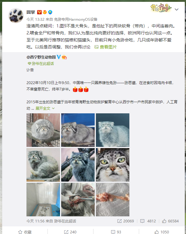 西宁野生动物园副园长回应“狲思邈”意外死亡休闲区蓝鸢梦想 - Www.slyday.coM