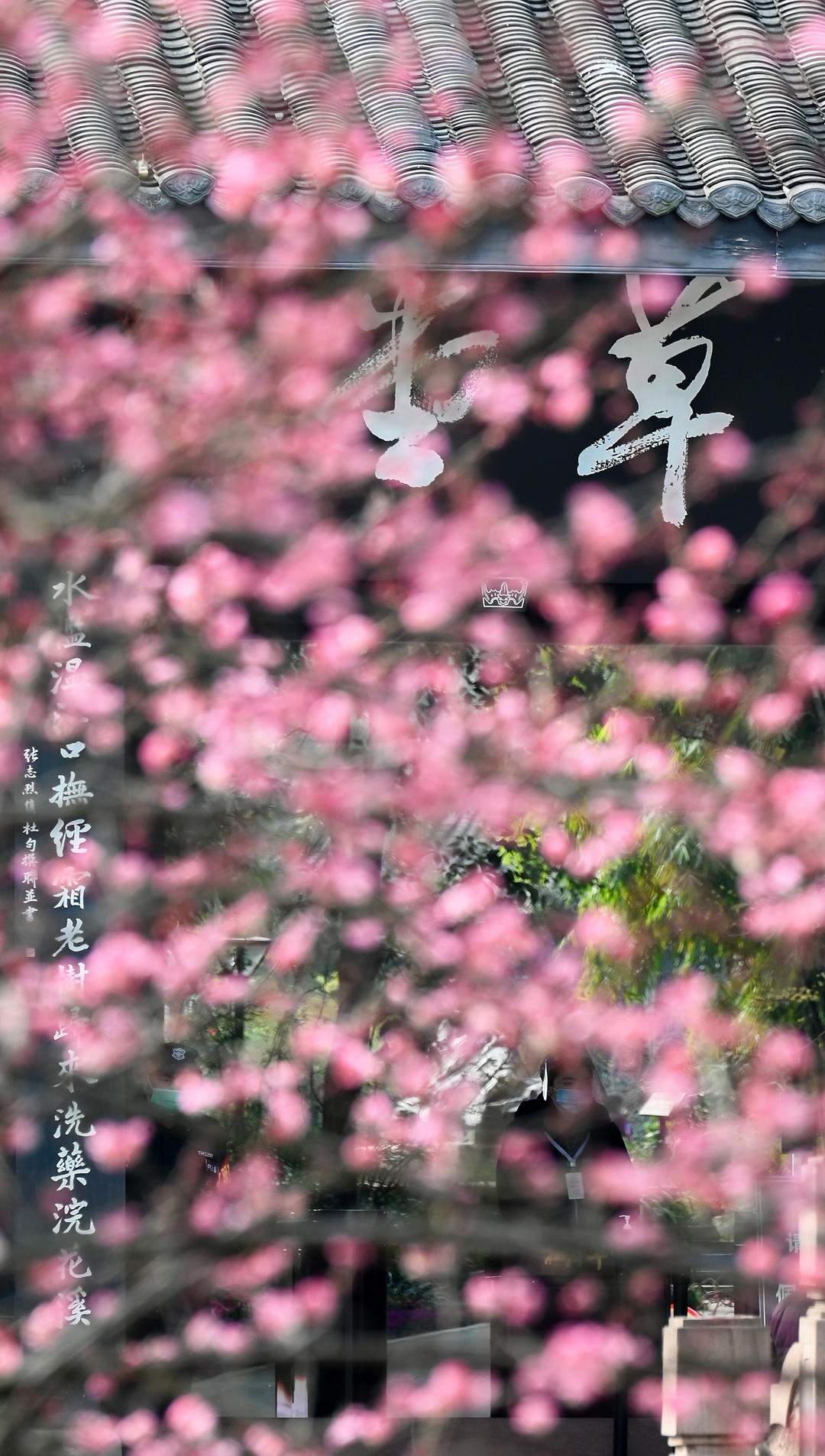 为什么依然说中国最伟大的诗人是杜甫休闲区蓝鸢梦想 - Www.slyday.coM