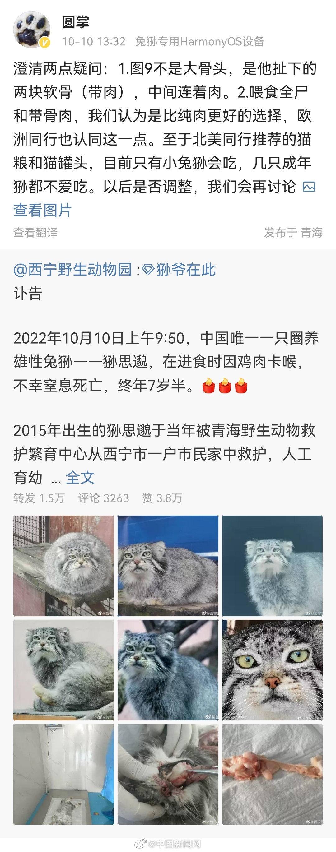 副园长回应网红兔狲意外死亡休闲区蓝鸢梦想 - Www.slyday.coM