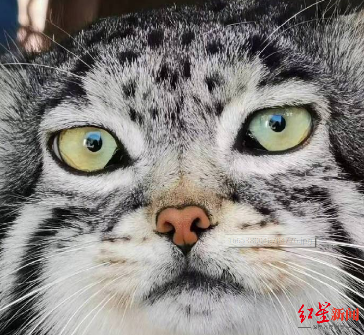 ͼ������Ұ������԰΢��