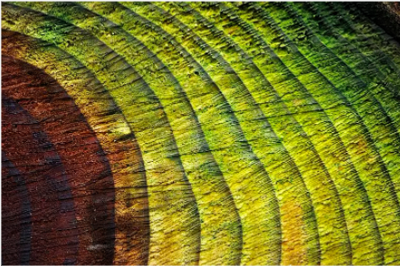 60岁老父推着轮椅送几乎失明的儿子来求诊，年轻人要当心“甜蜜”的诱惑休闲区蓝鸢梦想 - Www.slyday.coM