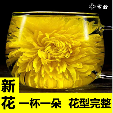 通知！今晚9点开始休闲区蓝鸢梦想 - Www.slyday.coM