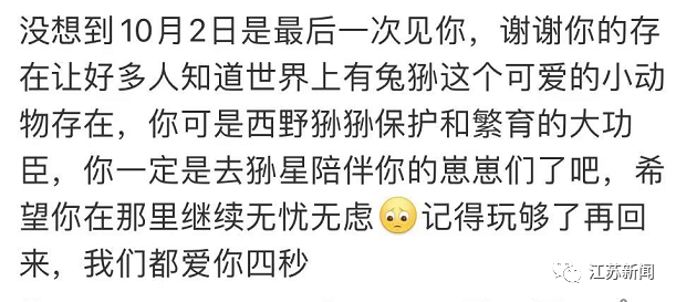 好突然！被很多人喜爱的它，不幸窒息死亡！休闲区蓝鸢梦想 - Www.slyday.coM