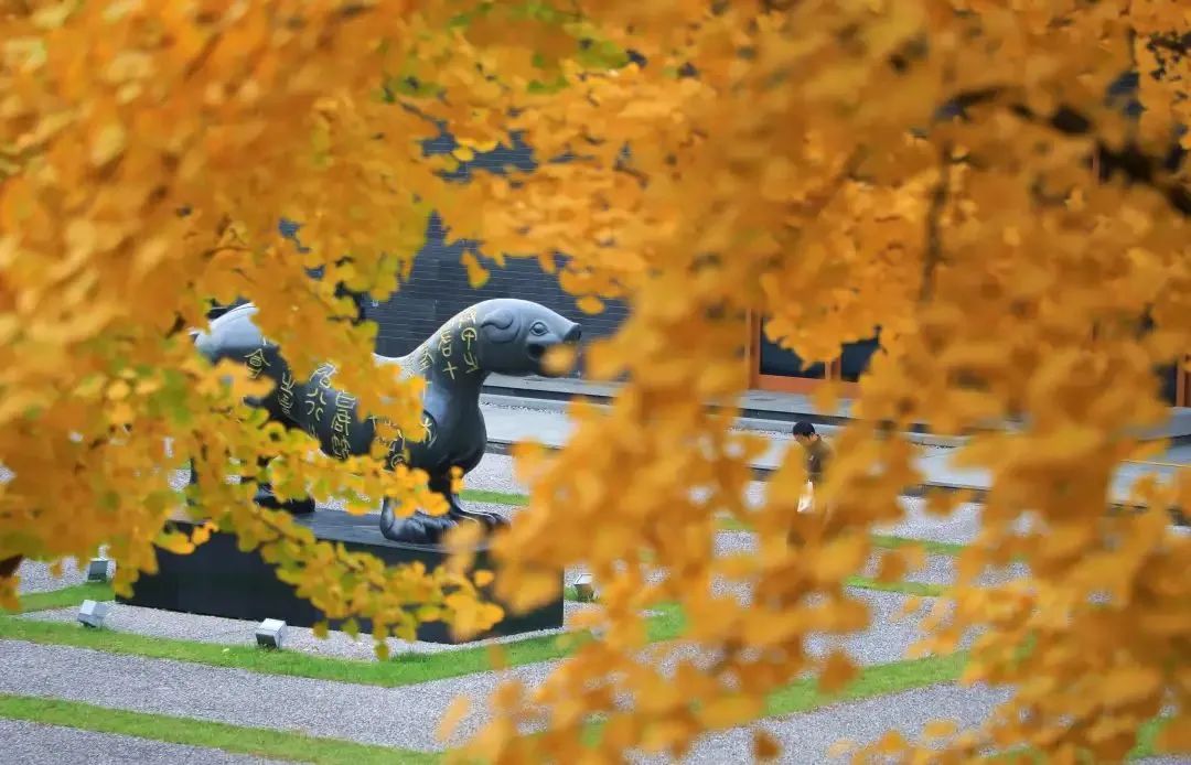 打卡如画美景休闲区蓝鸢梦想 - Www.slyday.coM