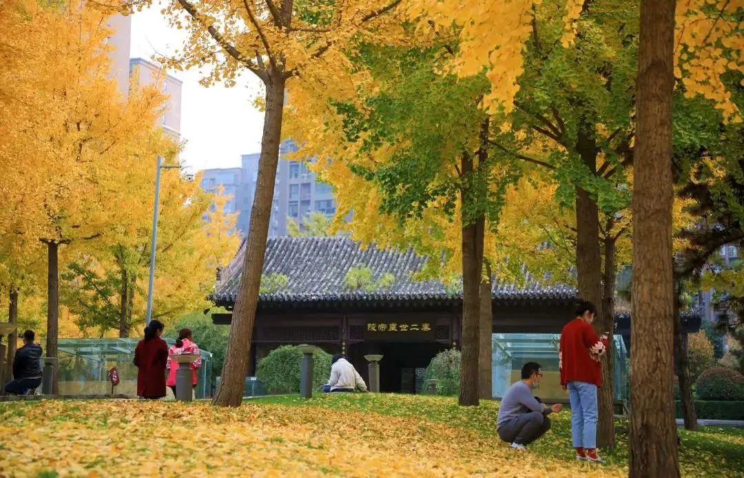 打卡如画美景休闲区蓝鸢梦想 - Www.slyday.coM