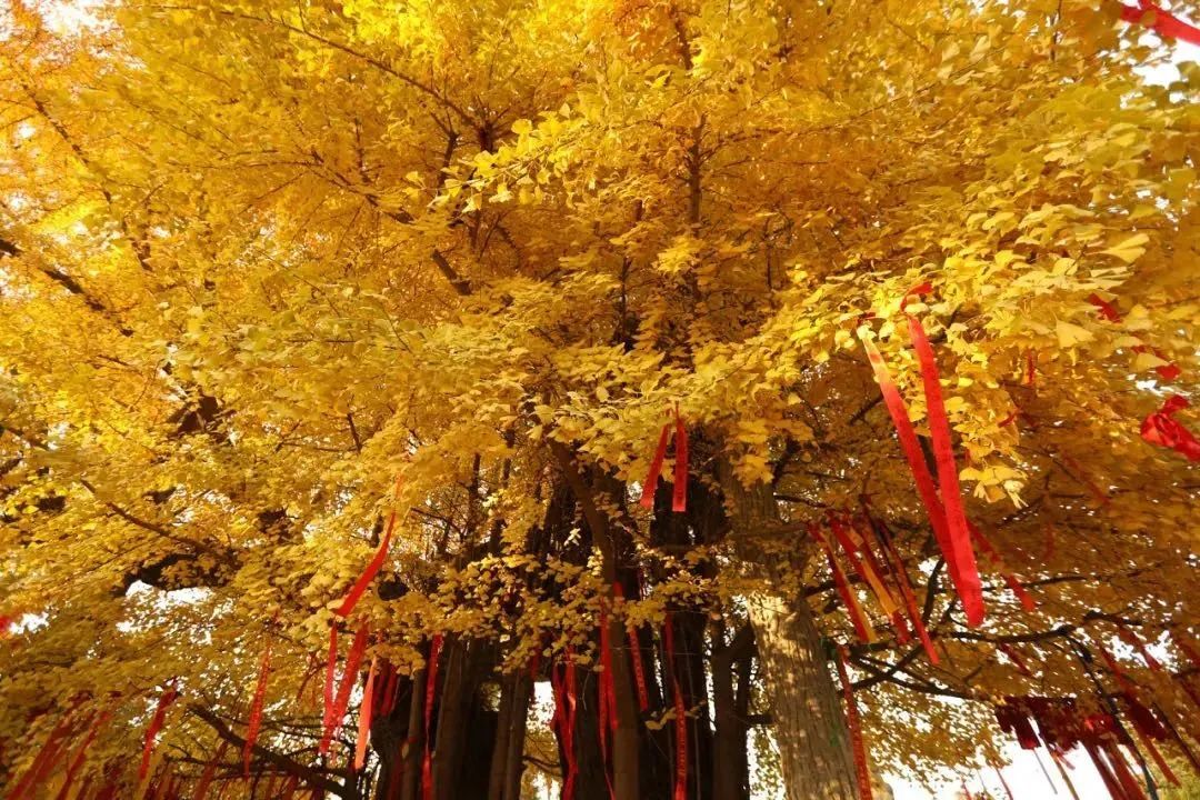 打卡如画美景休闲区蓝鸢梦想 - Www.slyday.coM