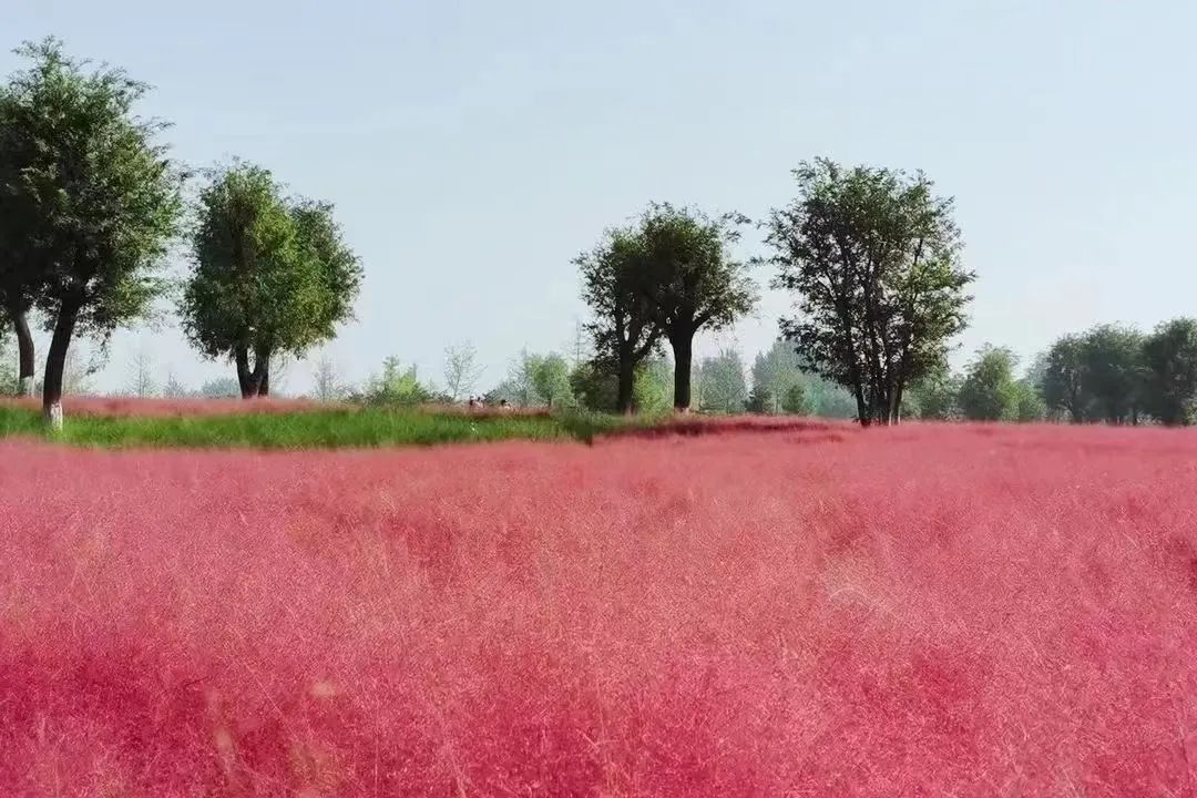 打卡如画美景休闲区蓝鸢梦想 - Www.slyday.coM