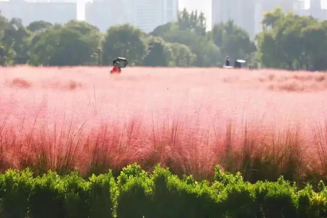 打卡如画美景休闲区蓝鸢梦想 - Www.slyday.coM