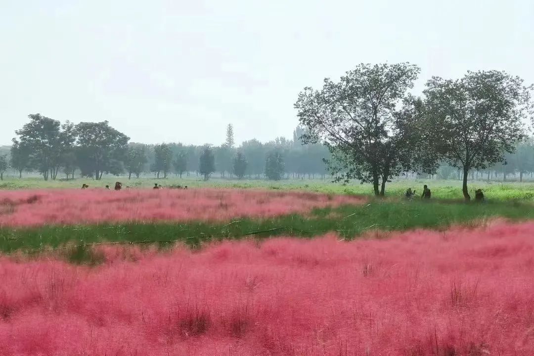 打卡如画美景休闲区蓝鸢梦想 - Www.slyday.coM