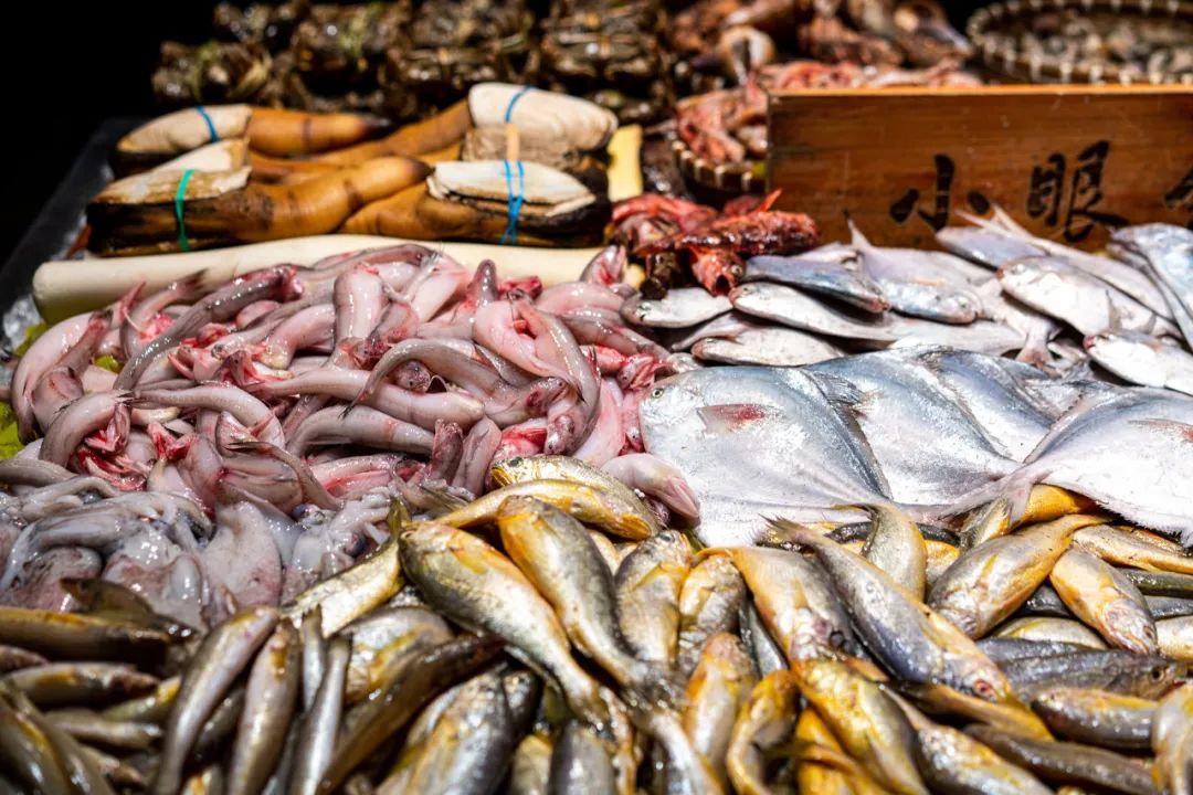 望潮,沙蒜,弹涂鱼…这座城市为何痴迷冷门小海鲜?