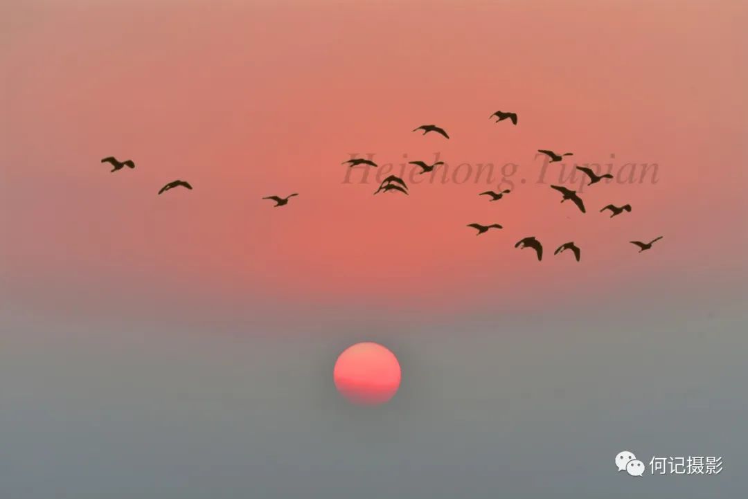 来学新技能！江门这个摄影班火热招生中！三名资深摄影家任教……(图12)