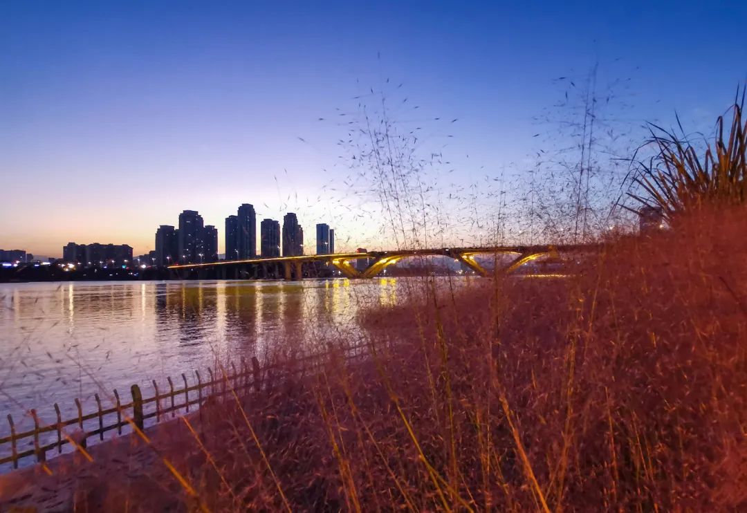 原来秋天的浪漫也可以是粉色！福州大片粉黛乱子草进入最佳观赏期休闲区蓝鸢梦想 - Www.slyday.coM