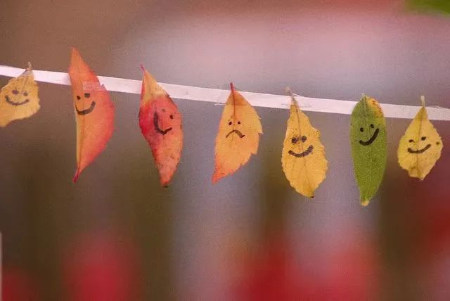 打卡如画美景休闲区蓝鸢梦想 - Www.slyday.coM