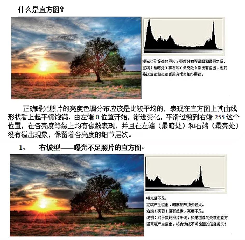 来学新技能！江门这个摄影班火热招生中！三名资深摄影家任教……(图4)