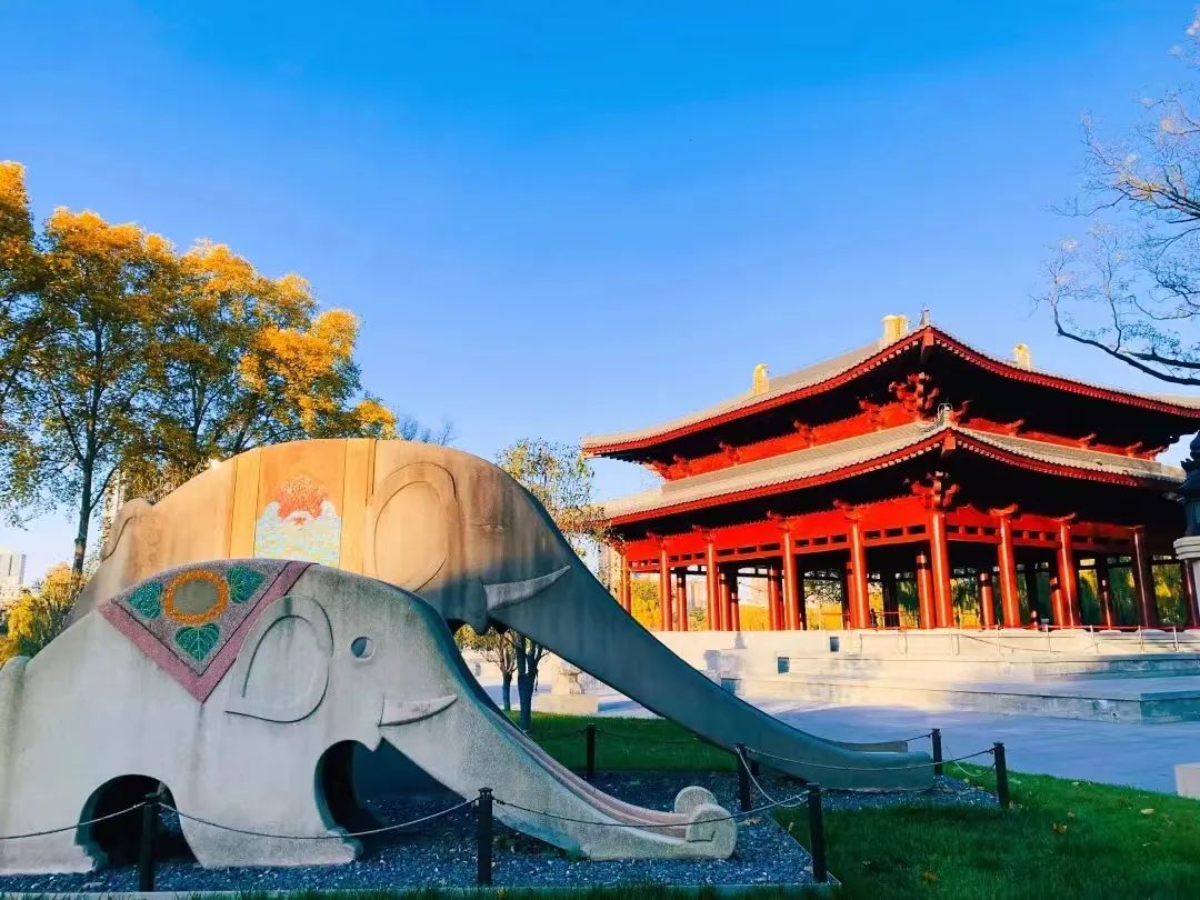 打卡如画美景休闲区蓝鸢梦想 - Www.slyday.coM