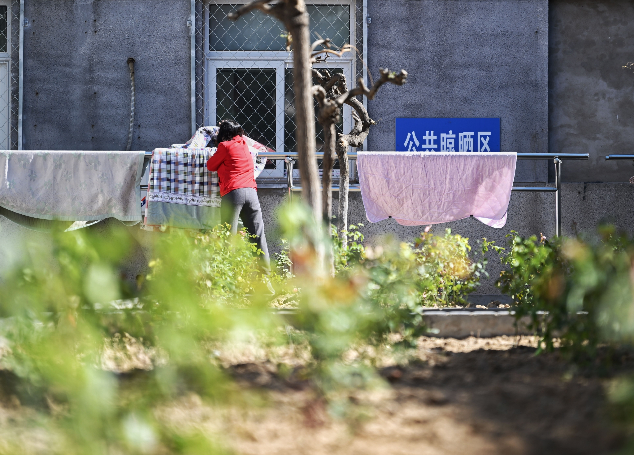 考虑到居民晾晒需求,整治后设置了统一的公共晾晒区.