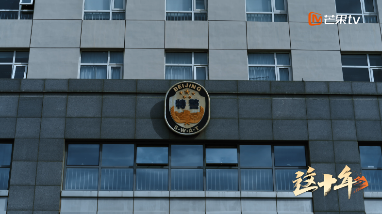 他们是新时代的特警尖兵！芒果TV《这十年》带你走近蓝剑突击队休闲区蓝鸢梦想 - Www.slyday.coM