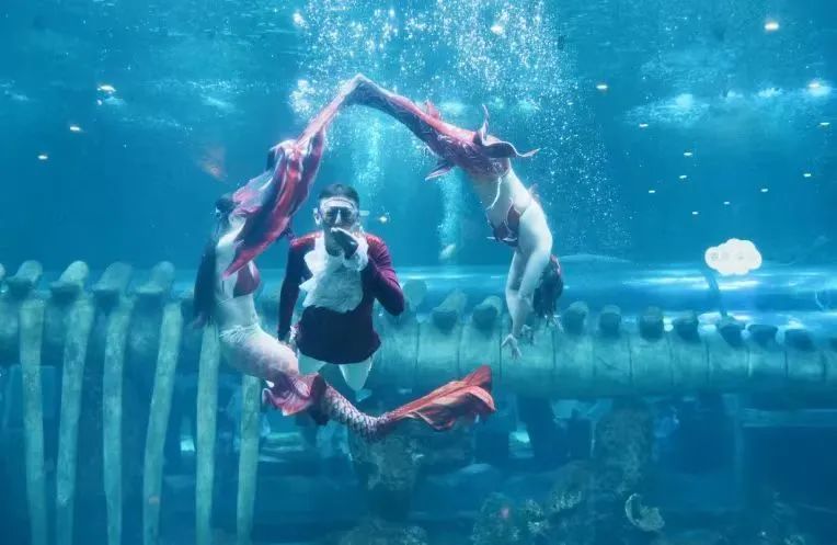 打卡如画美景休闲区蓝鸢梦想 - Www.slyday.coM