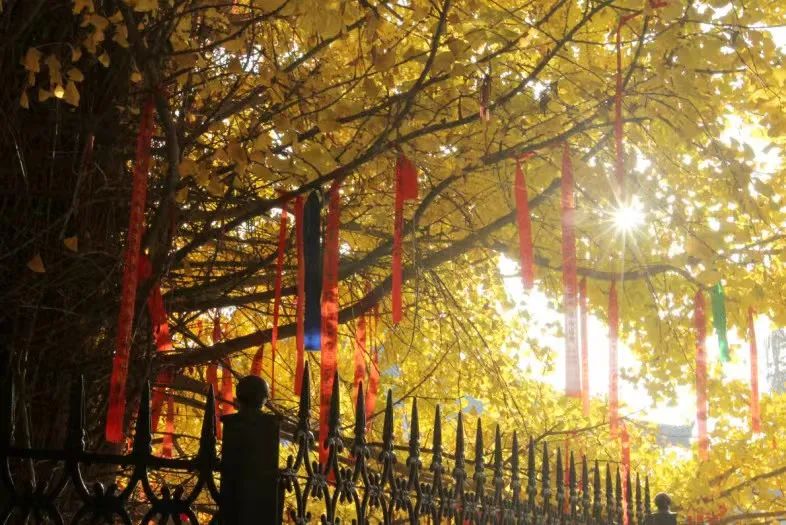 打卡如画美景休闲区蓝鸢梦想 - Www.slyday.coM