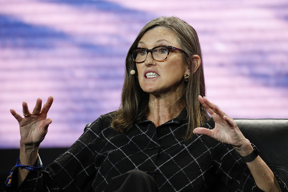 "木头姐"凯西·伍德(cathie wood)&nbsp; 视觉中国 图