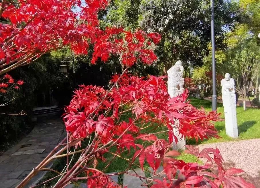 打卡如画美景休闲区蓝鸢梦想 - Www.slyday.coM