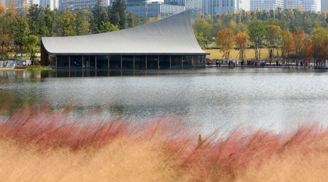 我们一起冲，就是更好的成都，更美的奔赴！休闲区蓝鸢梦想 - Www.slyday.coM