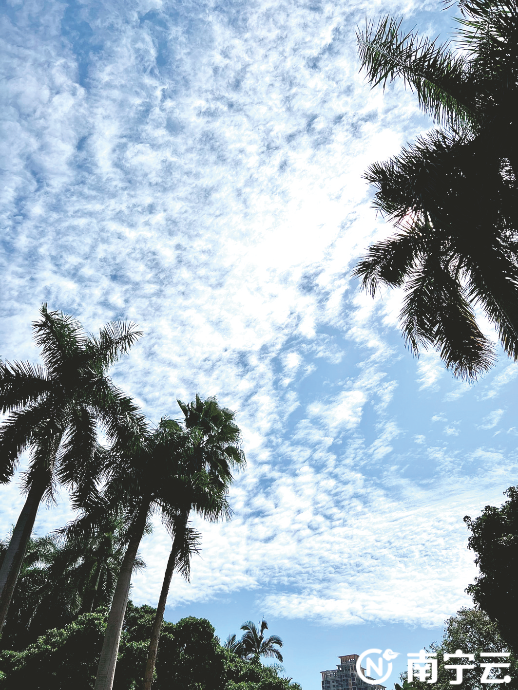 “鱼鳞”铺满半边天 你收到大自然给的“打工人礼物”了吗？休闲区蓝鸢梦想 - Www.slyday.coM