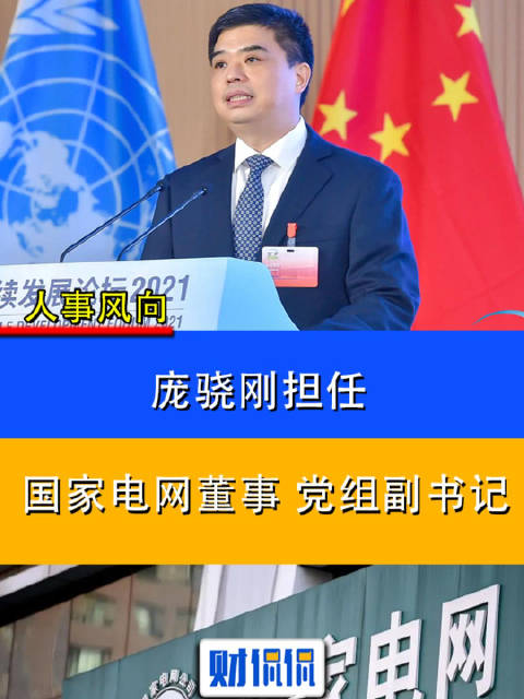人事风向⎮庞骁刚担任国家电网董事、党组副书记|工程师|电气工程_新浪新闻