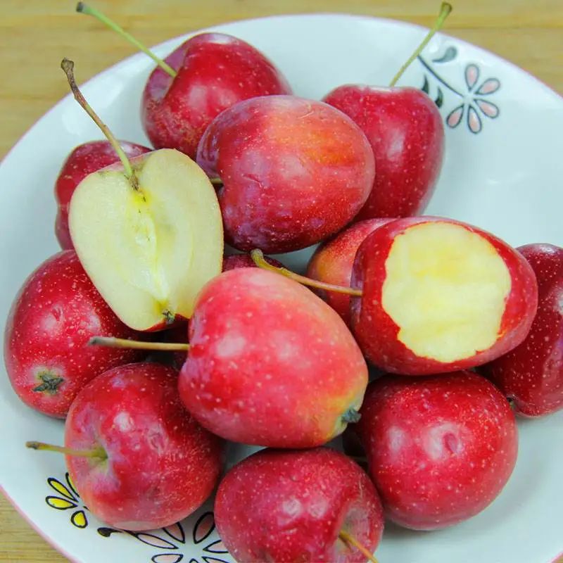 来自新疆的香妃海棠果90%人没吃过，入口嘎嘣脆，酸甜可口，不愧是孩子心头巨爱~休闲区蓝鸢梦想 - Www.slyday.coM