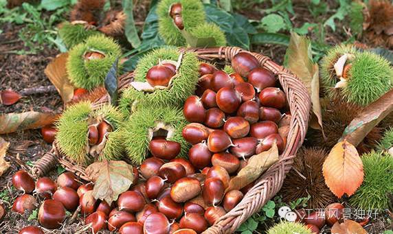 秋日如诗的江西，应配以美食!休闲区蓝鸢梦想 - Www.slyday.coM