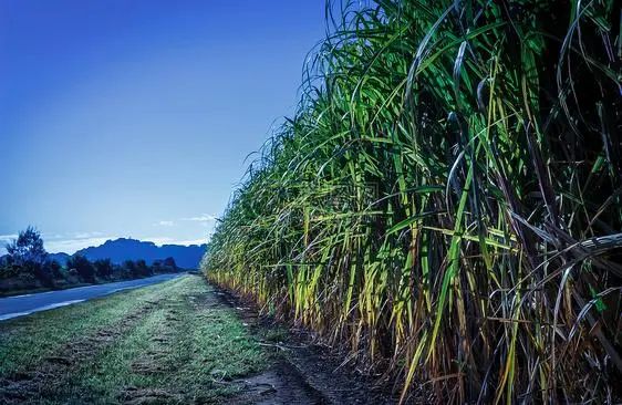 秋日如诗的江西，应配以美食!休闲区蓝鸢梦想 - Www.slyday.coM