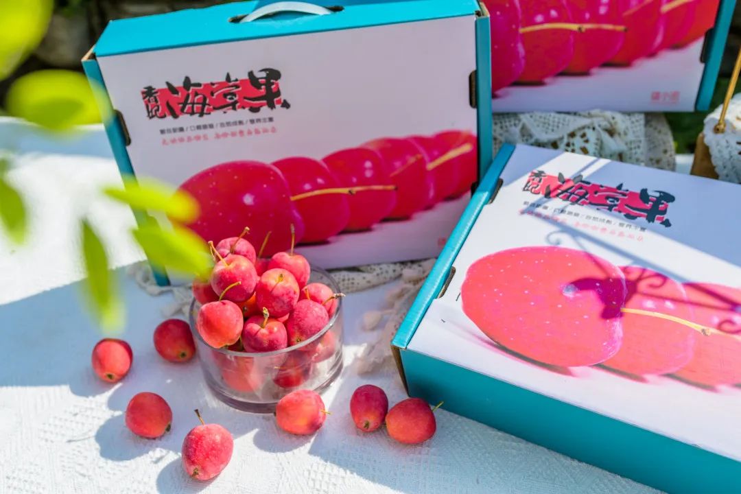 来自新疆的香妃海棠果90%人没吃过，入口嘎嘣脆，酸甜可口，不愧是孩子心头巨爱~休闲区蓝鸢梦想 - Www.slyday.coM