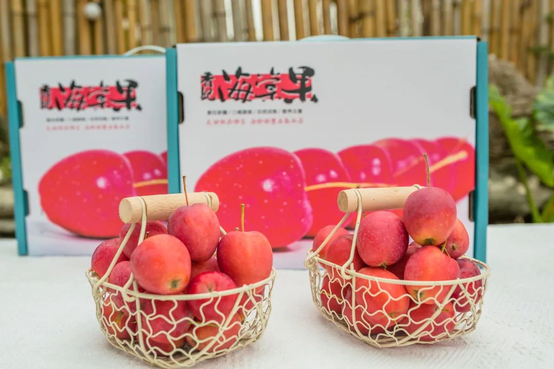 来自新疆的香妃海棠果90%人没吃过，入口嘎嘣脆，酸甜可口，不愧是孩子心头巨爱~休闲区蓝鸢梦想 - Www.slyday.coM